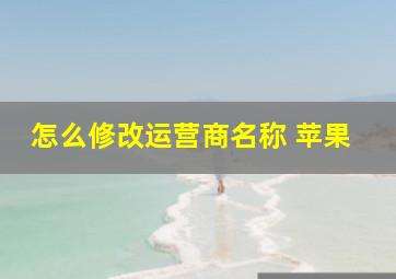 怎么修改运营商名称 苹果